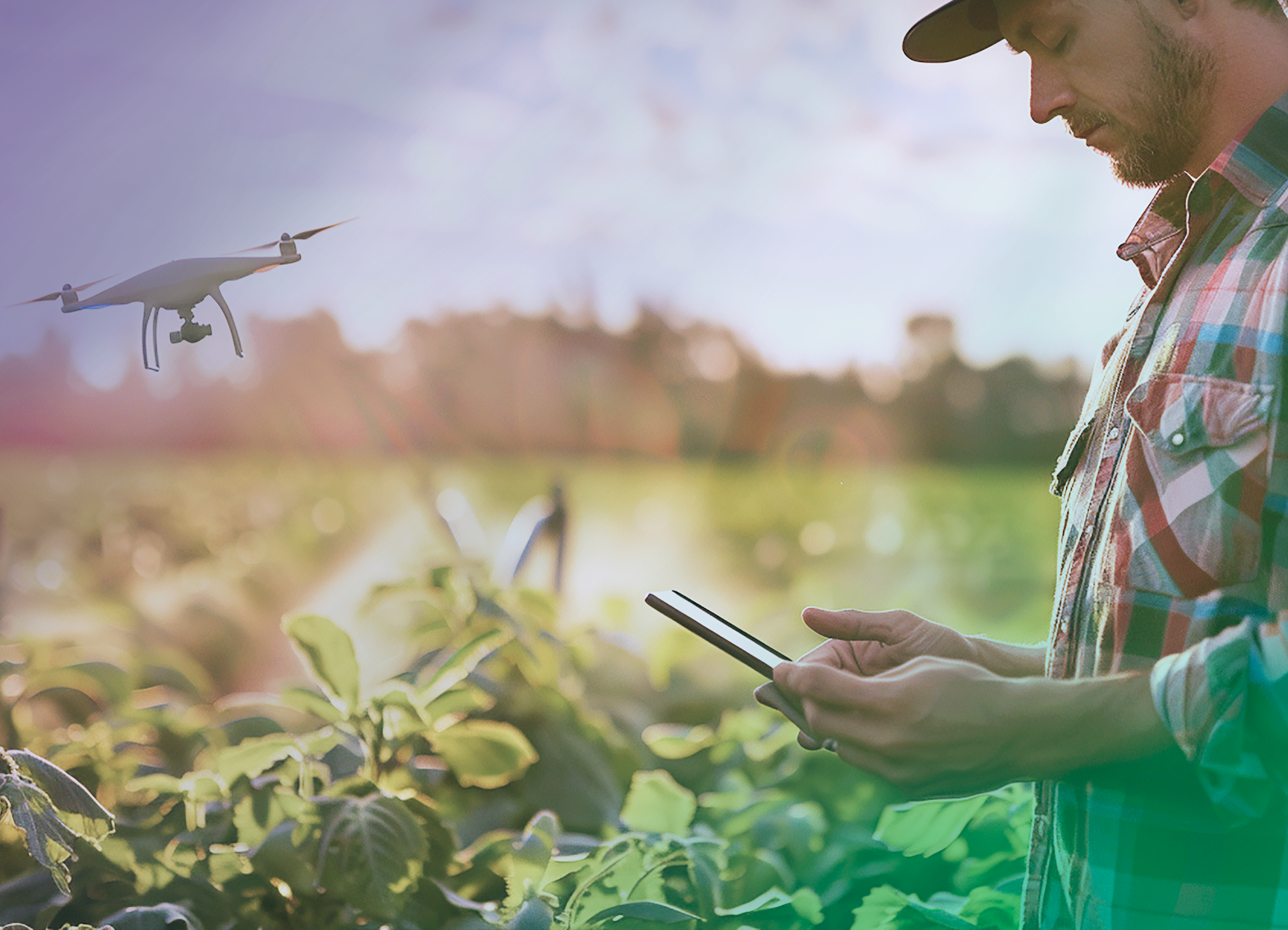 Banner---SiDi-Innovation-Center-1