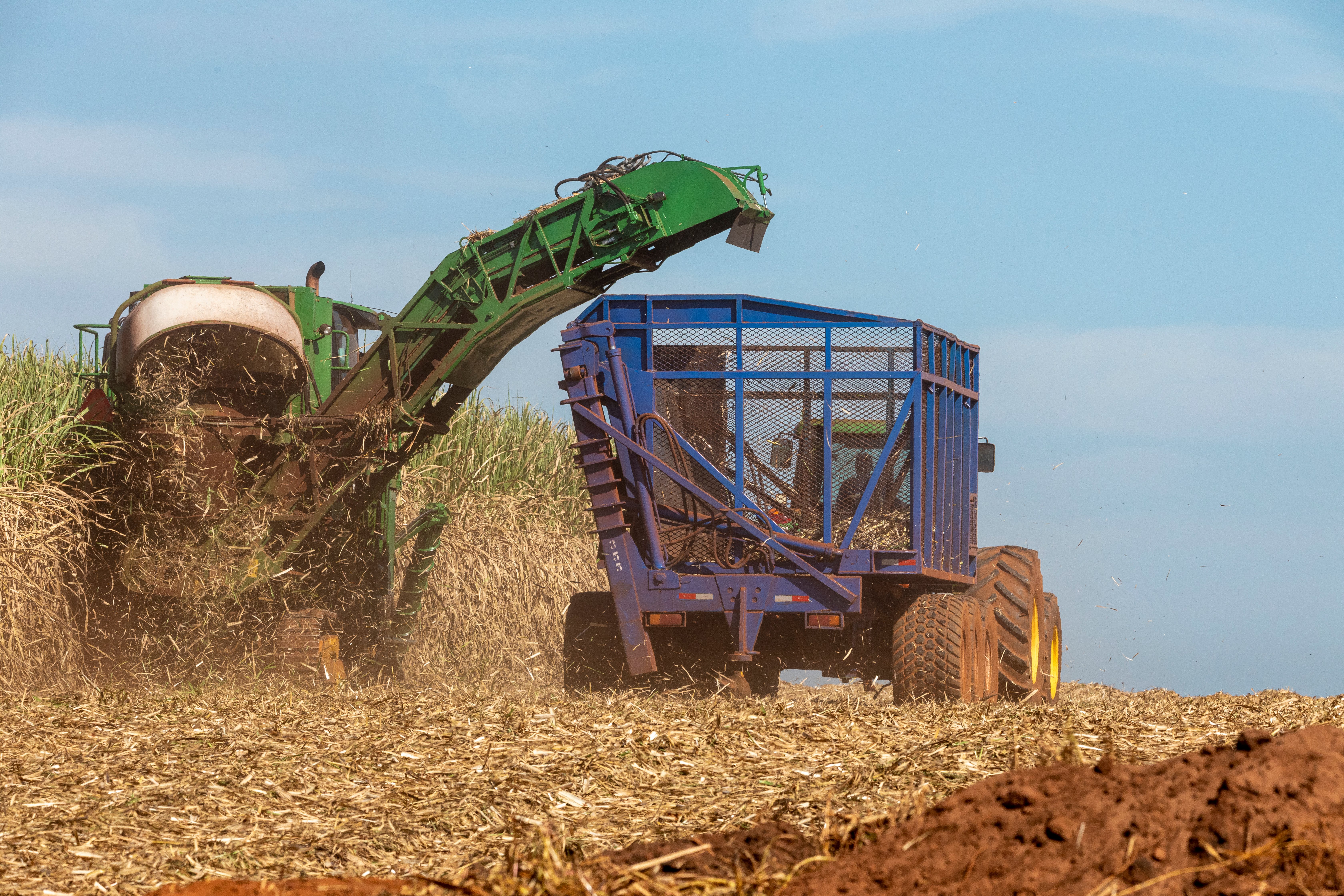 machine-harvesting-sugar-cane-plantation-2