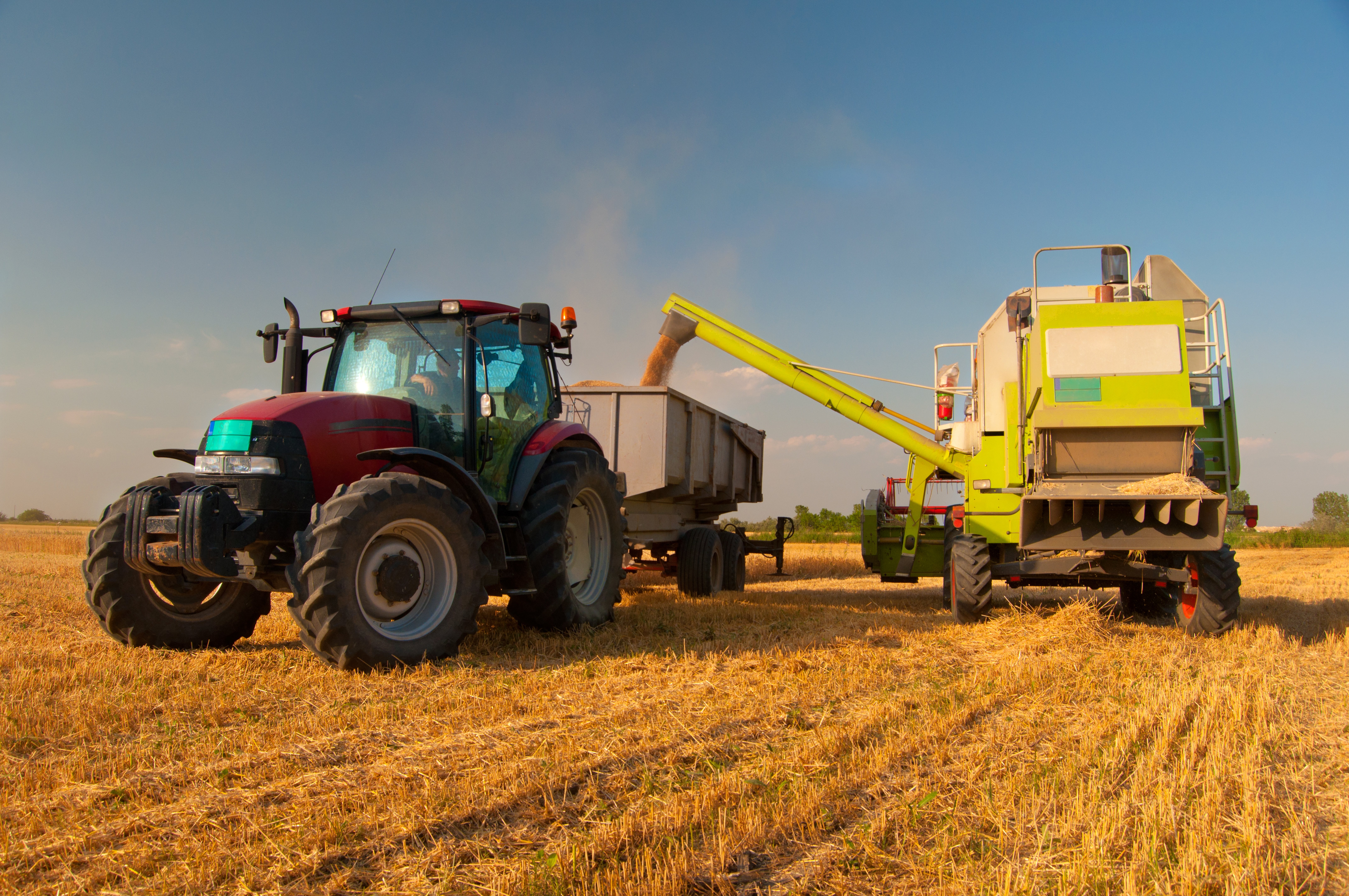 modern-combine-harvester-unloading-grain-into-trucks-trailer-sunny-summer-day