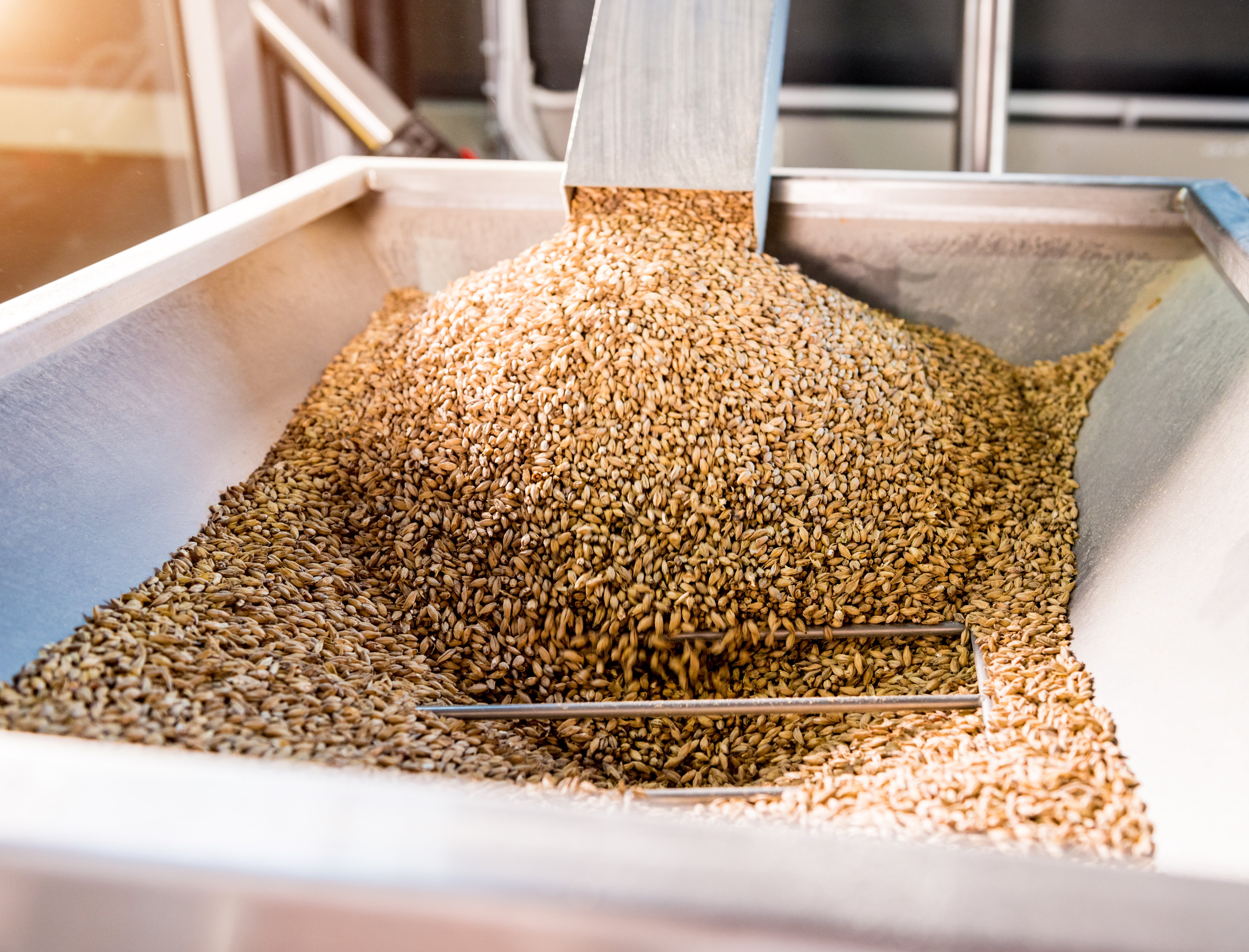 technological-process-grinding-malt-seeds-mill