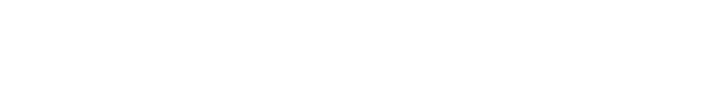 titulo-curso-ppi